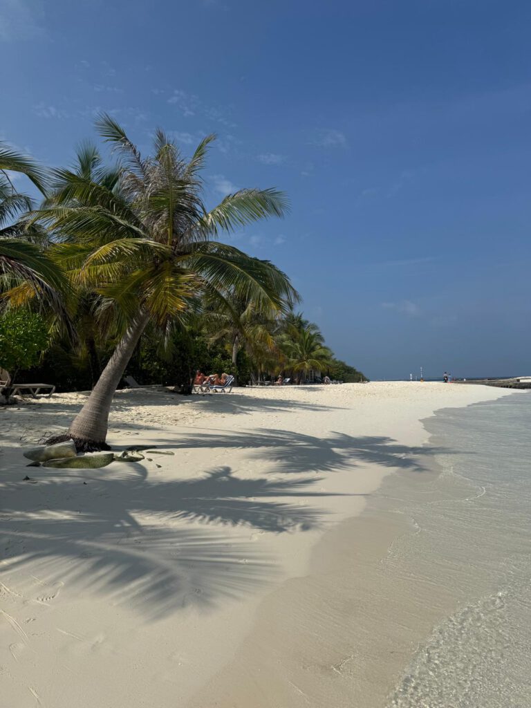 Palmenstrand auf den Malediven